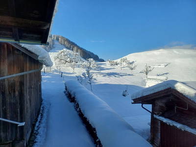 Bild 55 aus  Kaserer