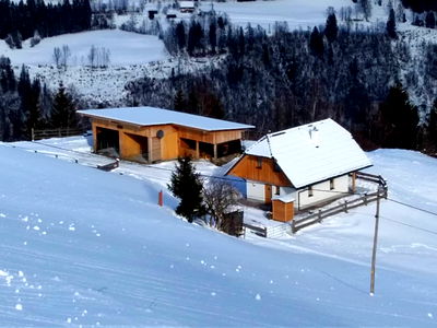 Bild 86 aus Almhütte Wiedhupf