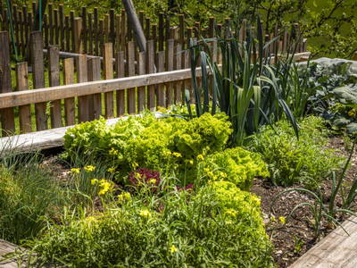 Bild 64 aus  Schaidreithof