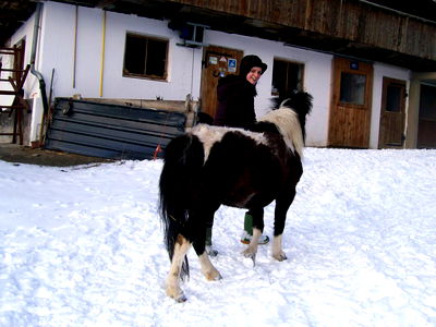 Bild 7 aus Bauernhof Wachtlerhof
