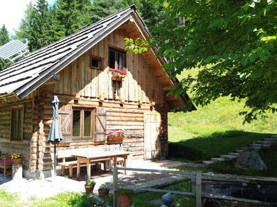 Bild 78 aus  Almhütte Meierle