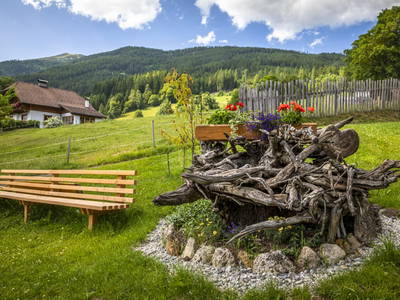 Bild 60 aus  Schobergut