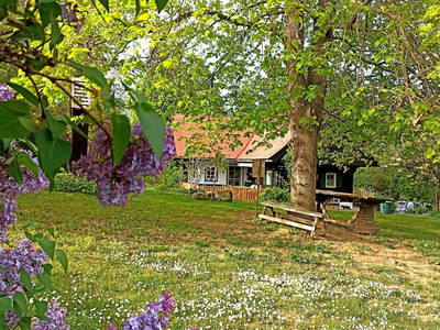 Bild 274 aus  Altes Gehöft am Lormanberg