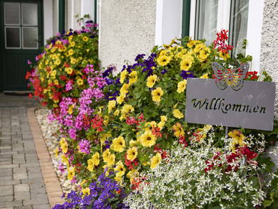 Bild 29 aus  Brandl Obstbauernhof 