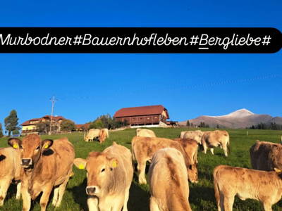 Bild 4 aus  Rotlechner