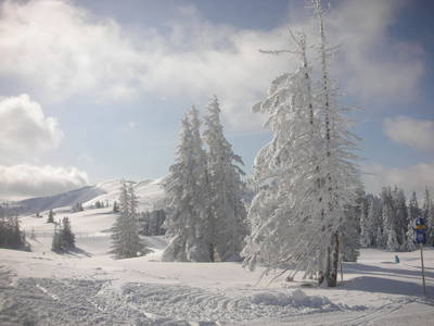 Bild 53 aus  Taxengut