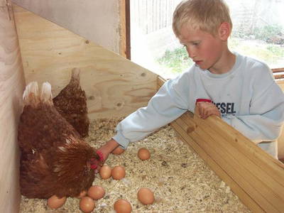 Bild 7 aus  Ferienhof Ebsen