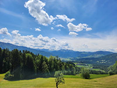 Bild 31 aus  Blickfang Bregenzerwald