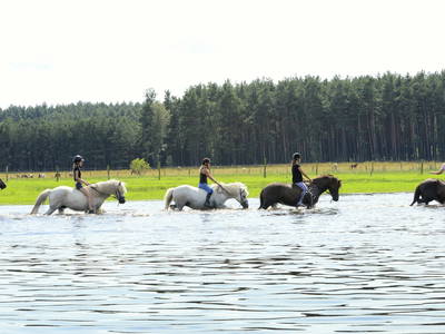 Bild 22 aus  Reiter- und Erlebnisbauernhof Groß Briesen