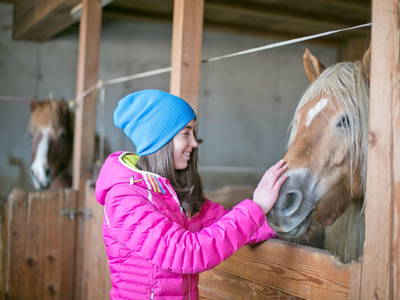 Bild 36 aus  Ferienbauernhof mit Herz - Ortnergut