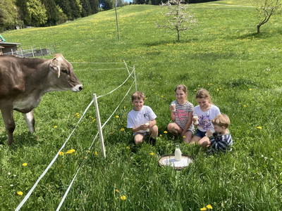 Bild 92 aus  Familie Nußbaumer 