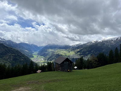 Bild 22 aus  Haus Wille