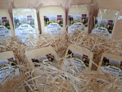 Bild 122 aus  Hüttstädterhof