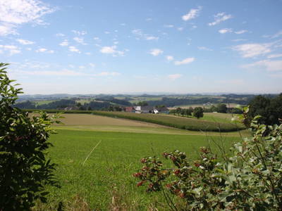 Bild 20 aus  Grainmeister