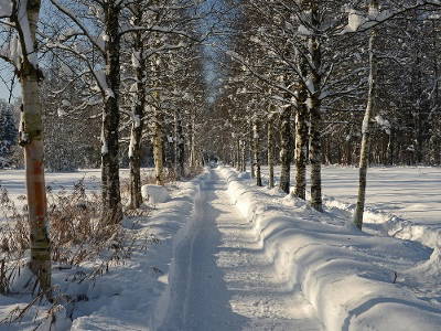 Bild 13 aus  Landurlaub Allgäu