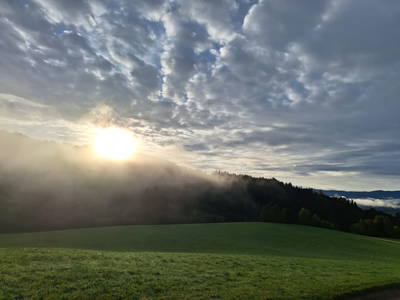 Bild 146 aus  Naturpark Bauernhof Sperl