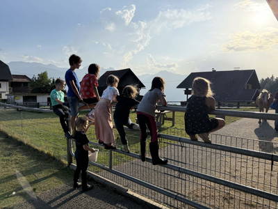 Bild 31 aus  Mösslacherhof