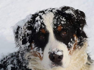 Bild 64 aus  Hoferhof