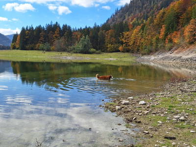 Bild 13 aus  Beim Draxl