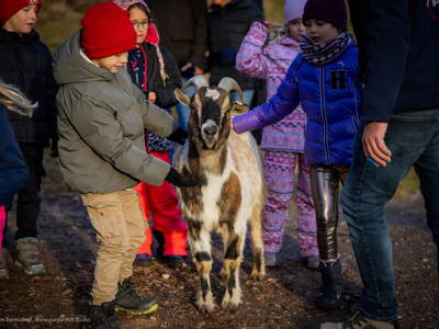 Bild 67 aus  Bergbauernhof Stauder, vlg. Oberrauter