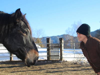 Bild 53 aus  Pfeiferhof