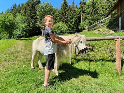 Bild 45 aus  Steinacher