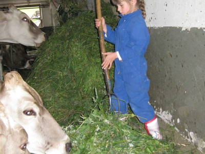 Bild 52 aus  Kinderbauernhof Leneler