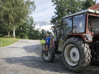 Bild 20 aus  Sturmhof