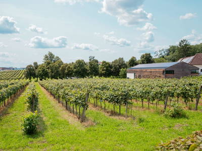 Bild 9 aus  Nussböckgut