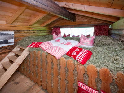 Bild 129 aus  Ladestatthof
