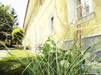 Bild 66 aus Grafhaidergut