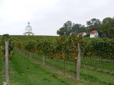 Bild 12 aus  Wein & Urlaub