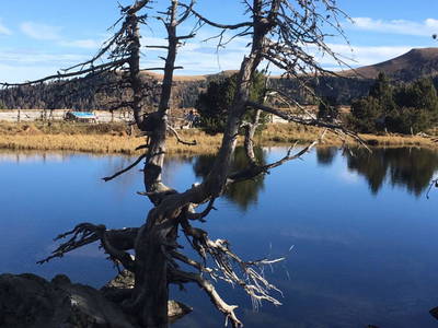 Bild 79 aus  Sportbauernhof Hochalmblick