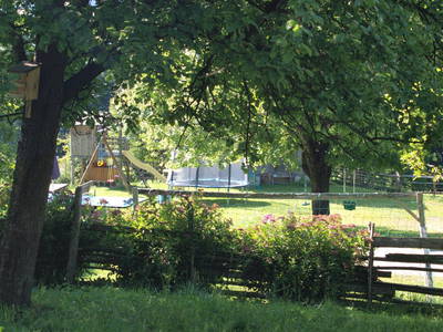 Bild 43 aus  Biobauernhof Walcherhof