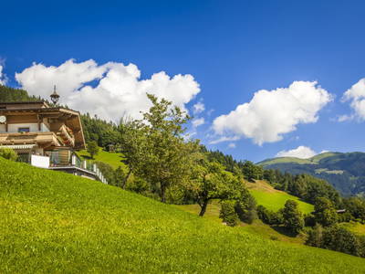 Bild 55 aus  Naglbauer