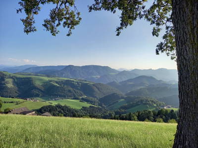 Bild 6 aus  Ferienhof Schneiderweg