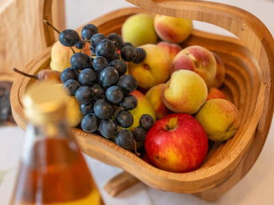 Bild 99 aus  Reiterhof Pfleger