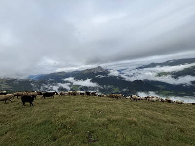 Bild 153 aus Riatschhof