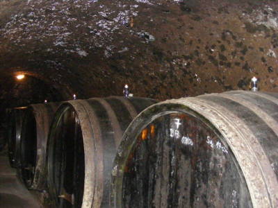 Bild 9 aus  Wein & Urlaub