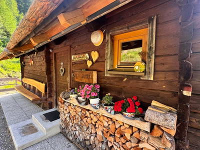 Bild 58 aus  Wallneralm