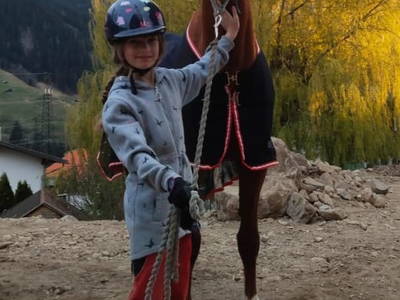 Bild 14 aus  Reiterhof Romanasa