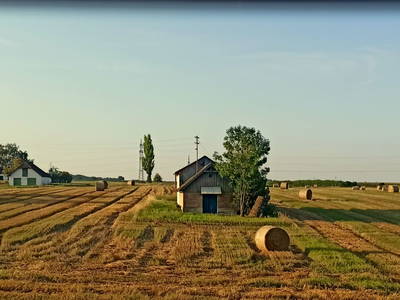 Bild 44 aus  Ferienhaus Weinviertel