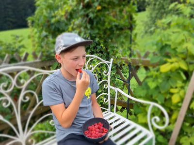 Bild 117 aus  Ferienwohnungen Lichtenegger 