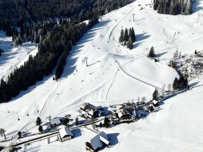 Bild 44 aus  Familienhotel-Gasthof Hinteregger