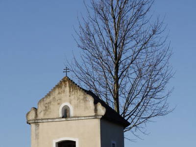 Bild 27 aus  Biohof Besenbäck