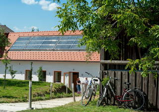 Weinkutscher aus Weitersfeld