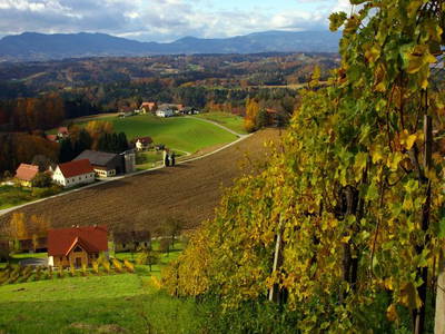 Bild 35 aus  Der Ofenmacherhof  Urlaub am Bauernhof