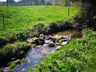 Bach Brigach direkt am Hof