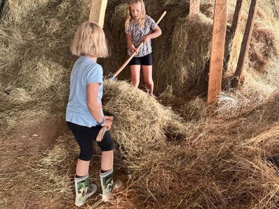 Bild 99 aus  Ferienwohnung Wallner