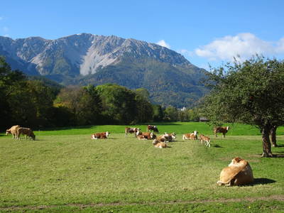 Bild 3 aus  Ferienwohnung Schneebergblick 